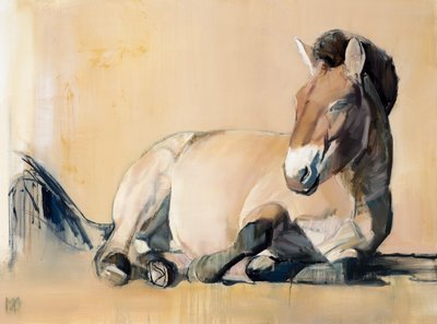 Plateau Sun (Przewalski), 2014 by Mark Adlington